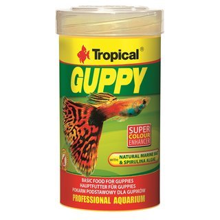 Tropical Guppy Flocos